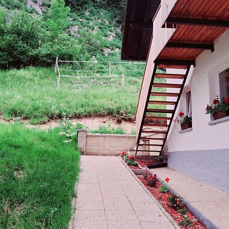 ボヒニュスカ・ビストリツァTourist Farm Pr' Maretcアパートメント エクステリア 写真
