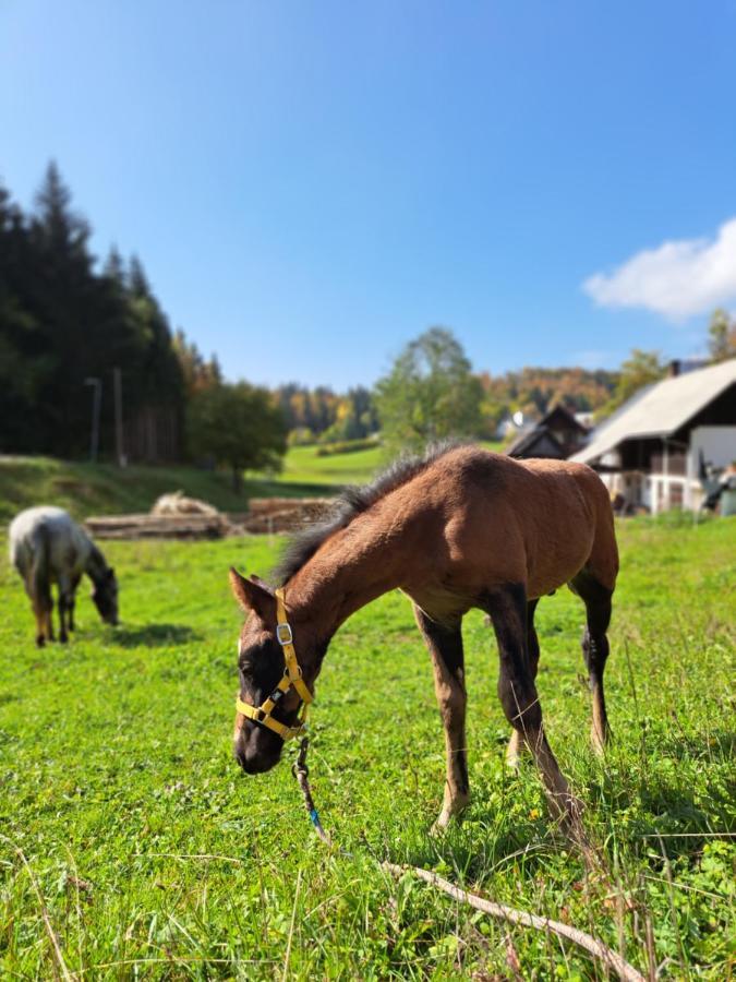 ボヒニュスカ・ビストリツァTourist Farm Pr' Maretcアパートメント エクステリア 写真