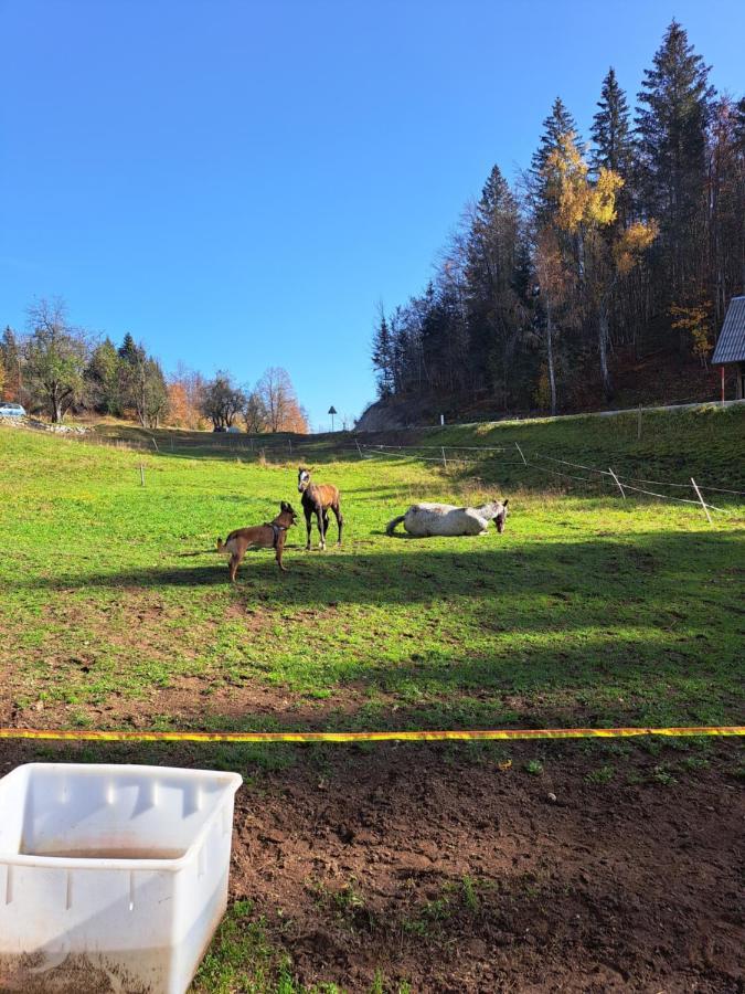 ボヒニュスカ・ビストリツァTourist Farm Pr' Maretcアパートメント エクステリア 写真