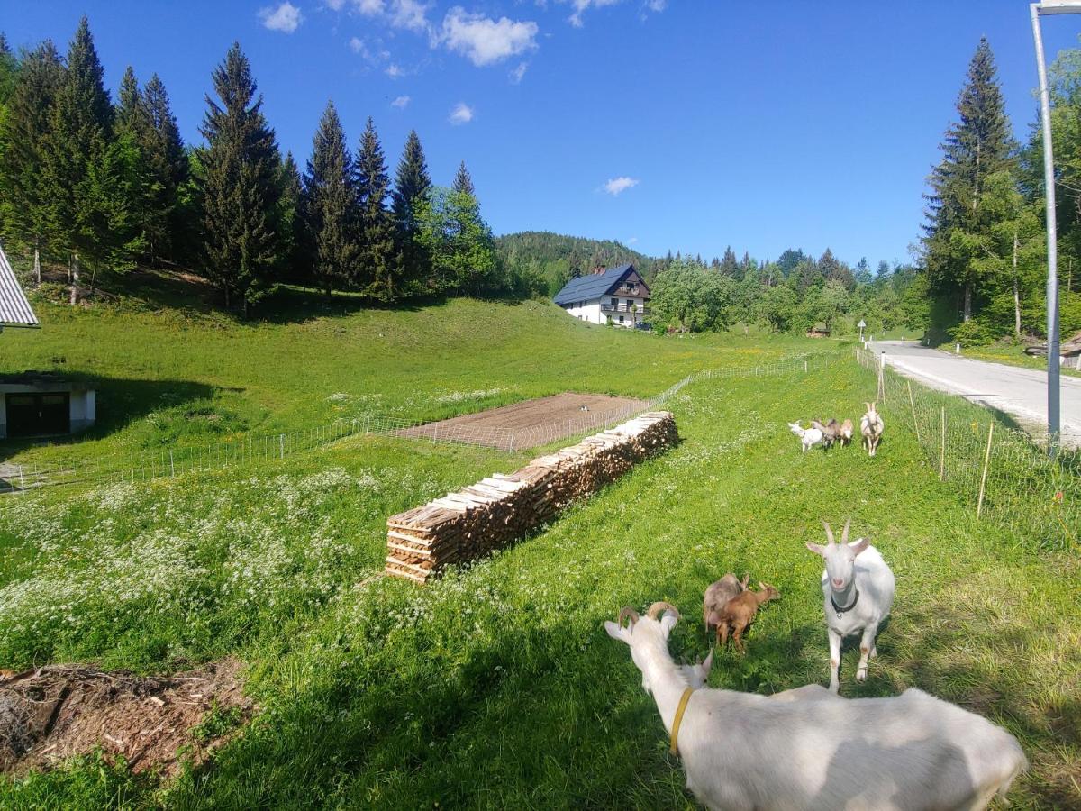 ボヒニュスカ・ビストリツァTourist Farm Pr' Maretcアパートメント エクステリア 写真