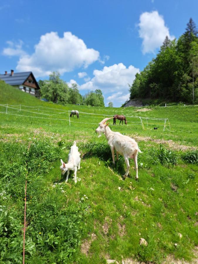 ボヒニュスカ・ビストリツァTourist Farm Pr' Maretcアパートメント エクステリア 写真